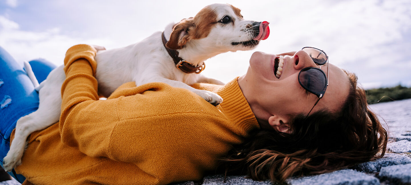 Hundehalter-Haftpflicht - Hund begrüßt sein Frauchen mit schleckender Zunge