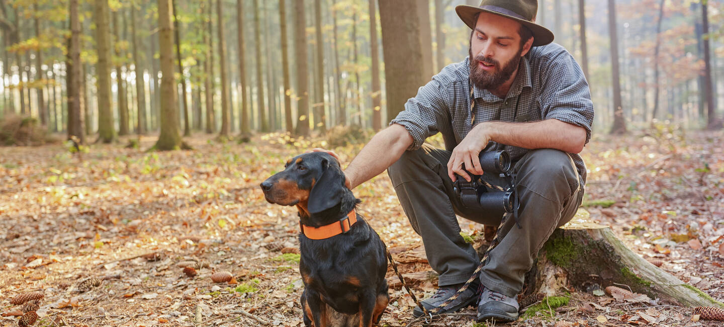 Hund Beschdigt Fremdes Eigentum